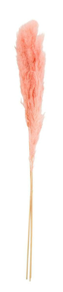 Pampas SP Gras 3St.100-115cm, pink