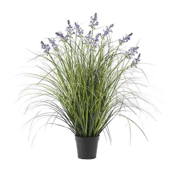 Gras 73cm mit Lavendel im Topf grün/lavendel, grün/lav.