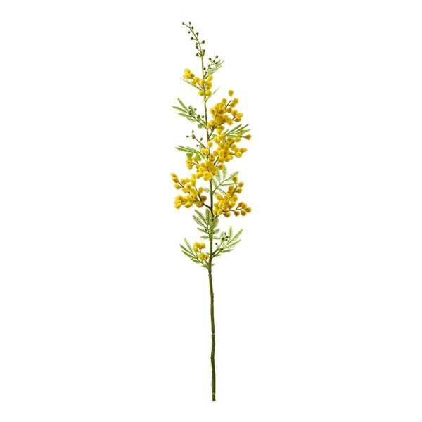 Mimosen Zweig 70cm, gelb