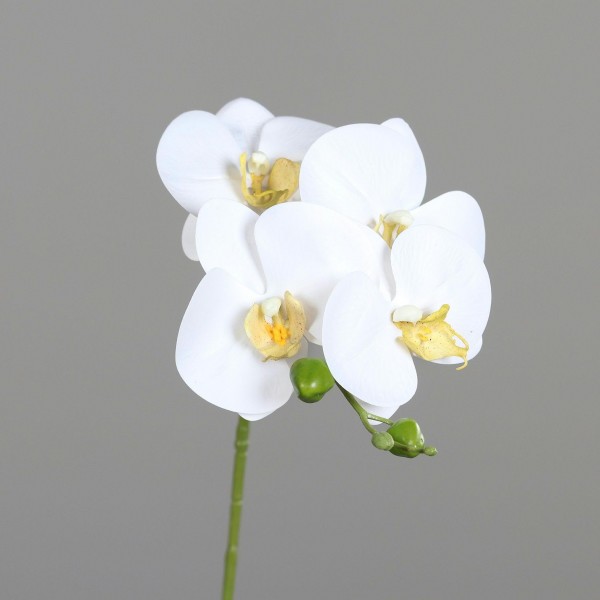 Orchidee 66cm real touch, creme