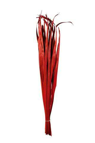 Palm Blätter 400g, rot