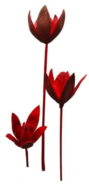 Wildlilie am Stab nicht farbecht, rot