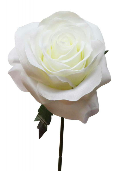 Rose Pick D8cm 19cm, weiß