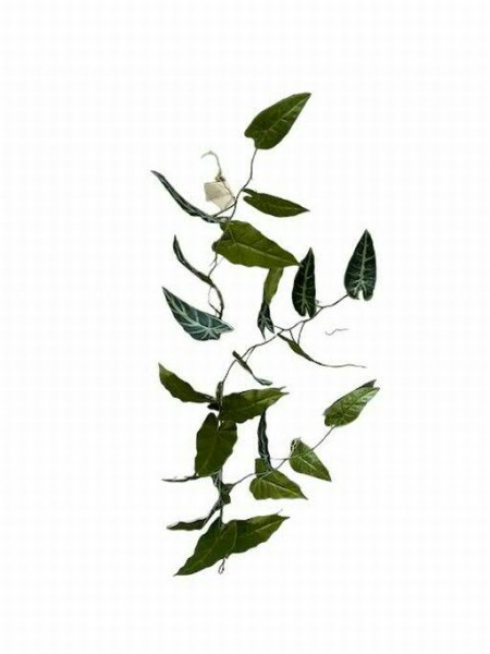 Blatt Hänger 122cm Alocasia, grün/weiß