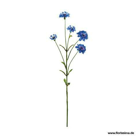 Kornblume x5 75cm, blau