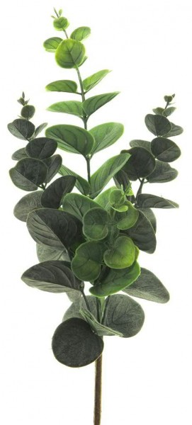 Eucalyptus Zweig 38cm, grün