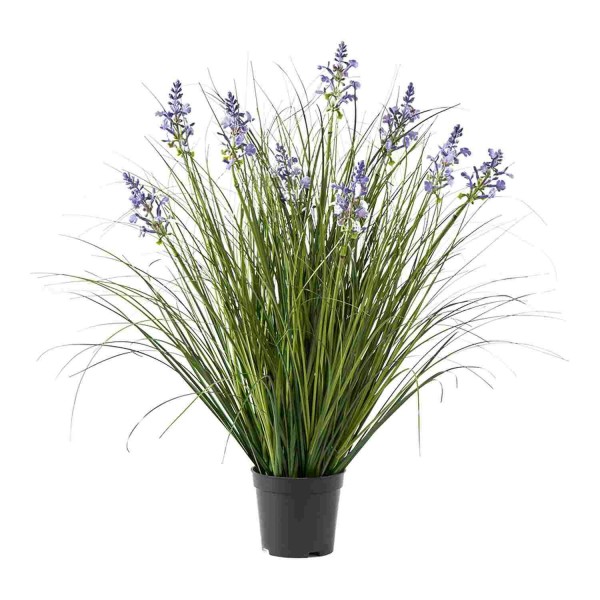 Gras 58cm mit Lavendel im Topf grün/lavendel, grün/lav.