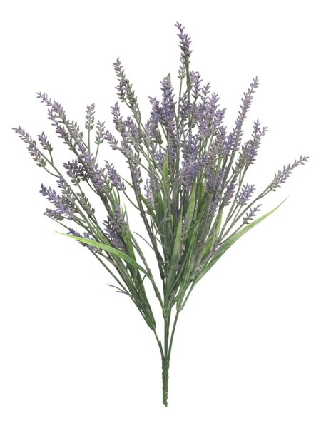 Lavendel Busch x5 41cm, lavendel