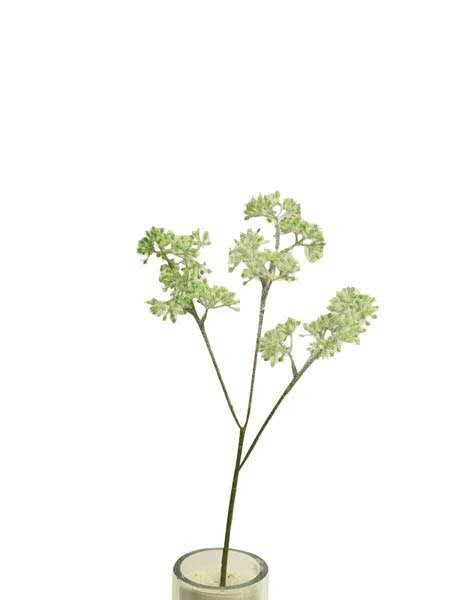 Blüten Zweig SP 42cm, grün