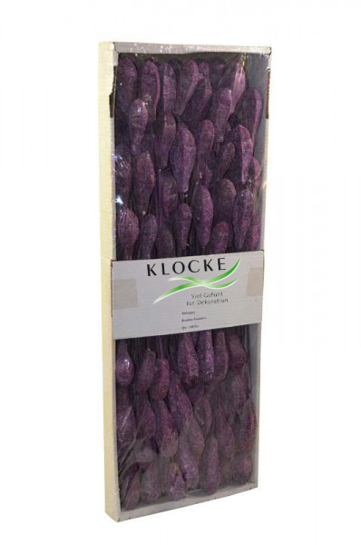 Mehogini am Stiel 50St.frosted FPK nicht farbecht, brombeer
