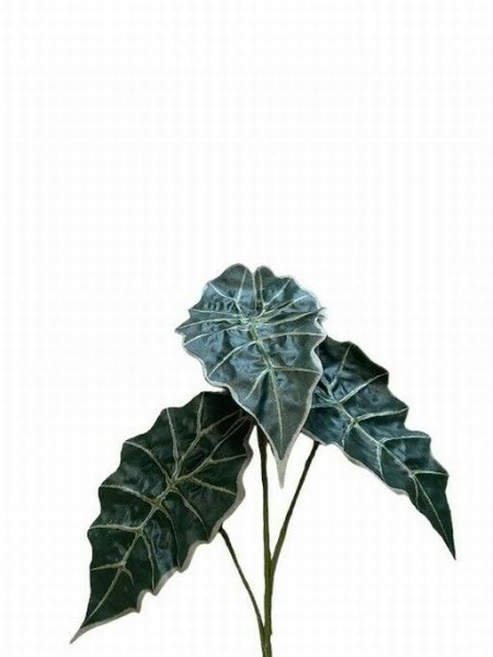Blatt Alocasia x3 106cm, grün