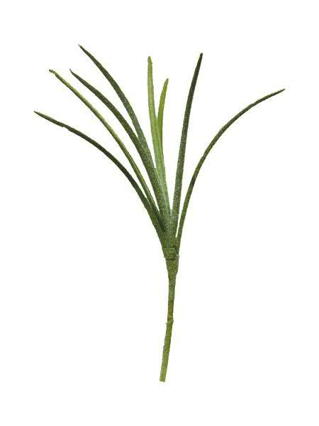 Gras SP 33cm 6St.Wasabi, grün