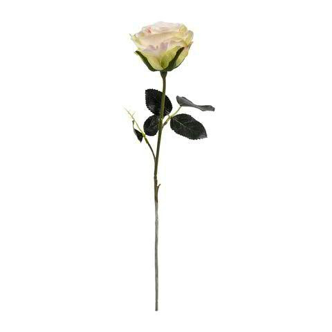 Rose 37cm, hl.rosa/gn