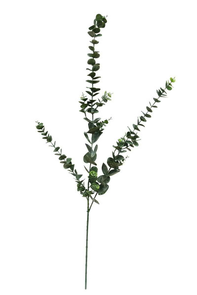 Eucalyptus Zweig 103cm, grün