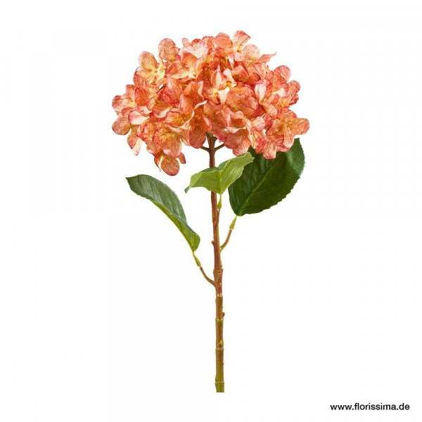 Hortensie 58cm m.Blätter, pink