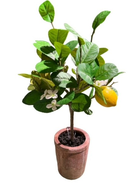 Zitronenbaum 43cm im Topf Keramiktopf, gelb/grün