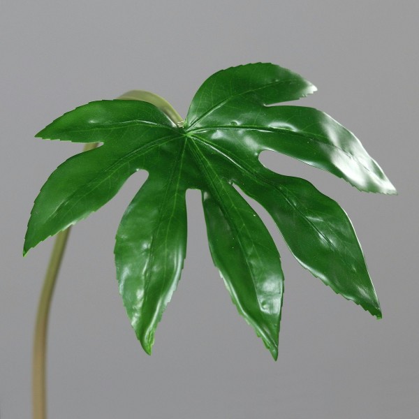 Blatt Aralien 53cm, grün