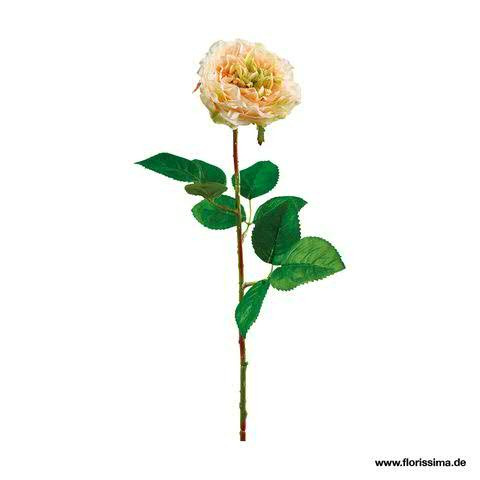 Rose 52cm, hellgrün