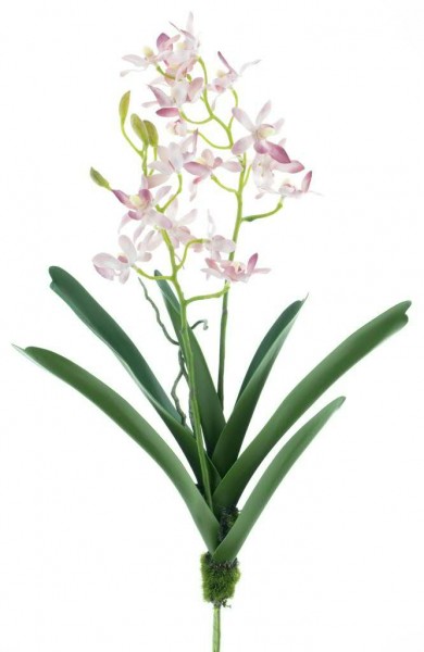 Orchidee 48cm, pink