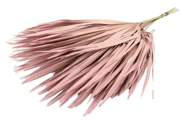 Palm Blatt SP 10St.ca.L75xD40cm, frost pink