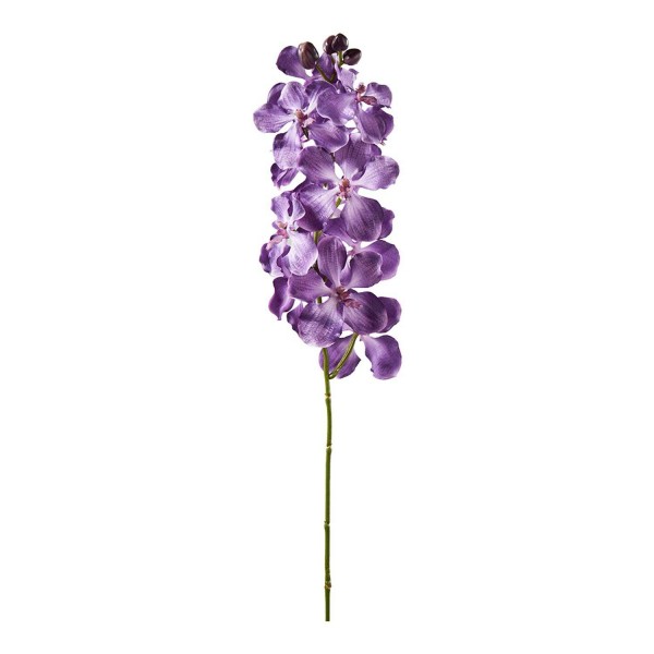 Orchidee 79cm, purple