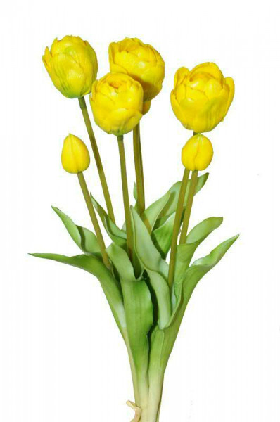 Tulpen Bund 44cm x7 Aktionspreis, gelb