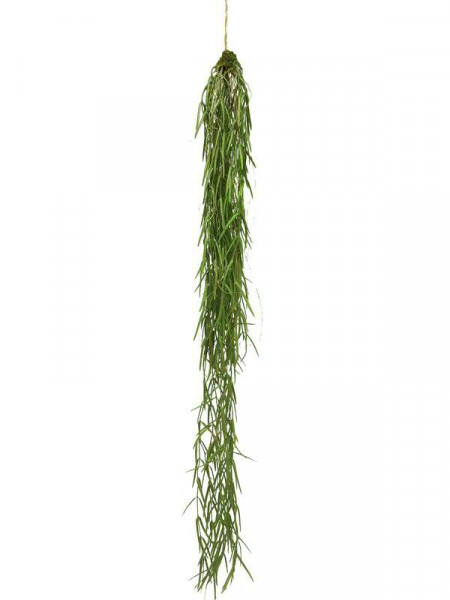Hoya Hänger 94cm, grün