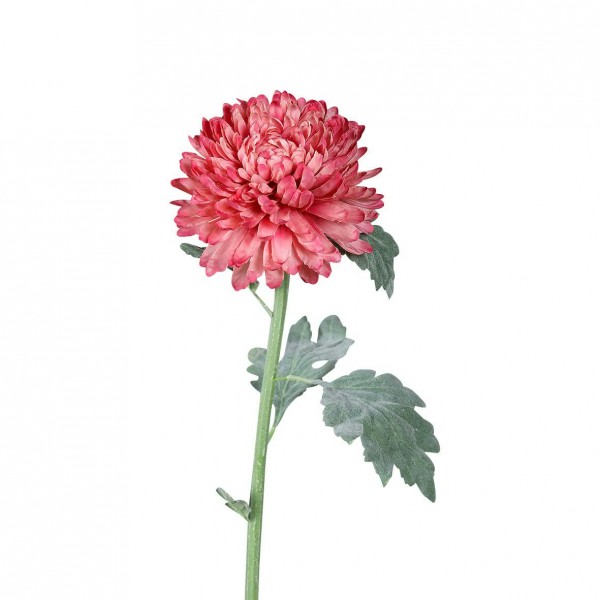 Chrysantheme 79cm, rose