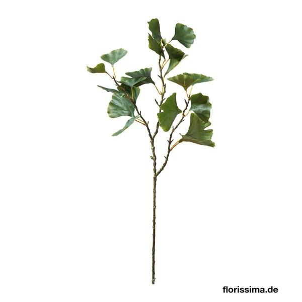 Zweig Ginkgo 74cm, grün