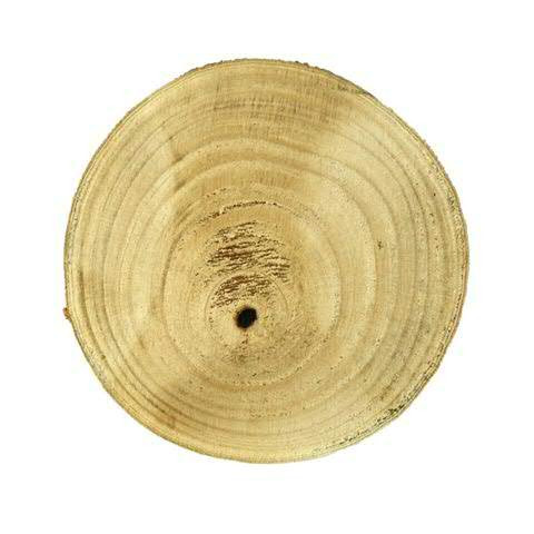 Scheibe Holz D23-25H3cm, natur