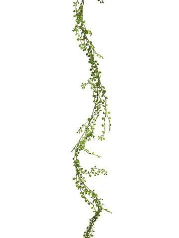 Ceropegia Girlande 180cm, grün