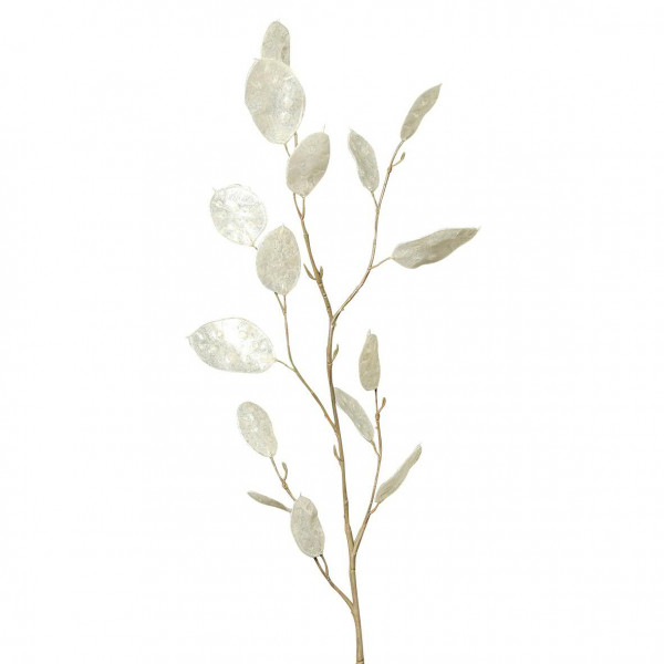 Lunaria Zweig 86cm, natur