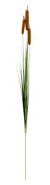 Schilfkolben 121cm mit Gras, braun/grün
