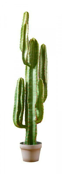 Kaktus 114cm im Topf, grün