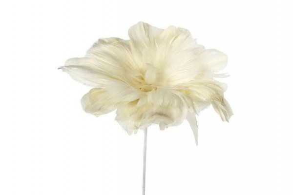 Blume Federn 60cm, weiß