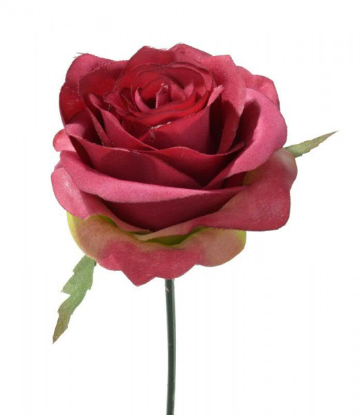 Rose Pick D8cm 19cm, pink