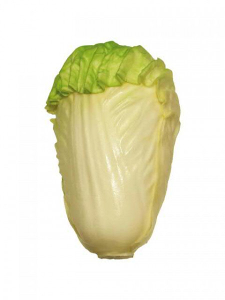 Salat 17cm Endive, grün