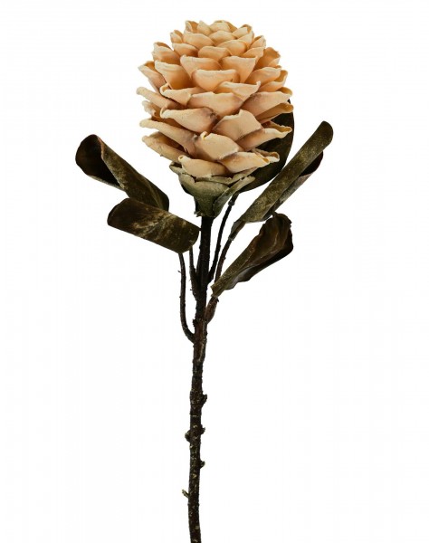 Protea 56cm, cremeweiß