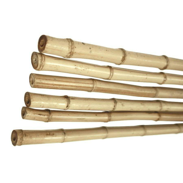 Bambusstäbe 300cm 80/90