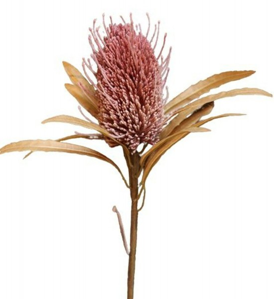Protea 61cm, lila/braun