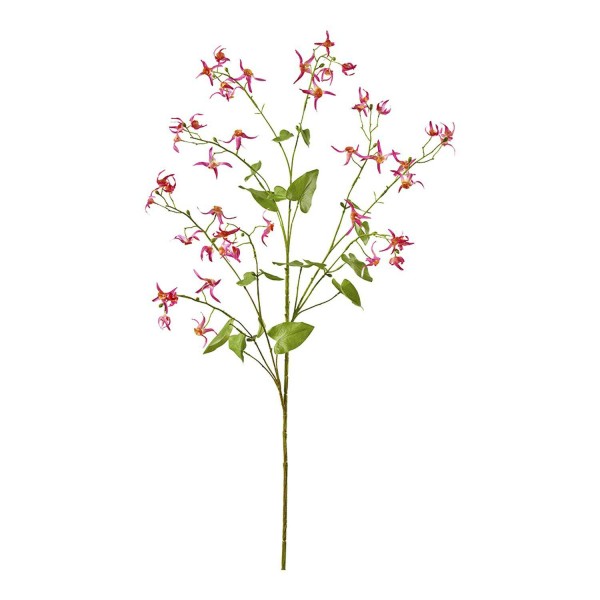Blüten Zweig 113cm Epimedium, beauty
