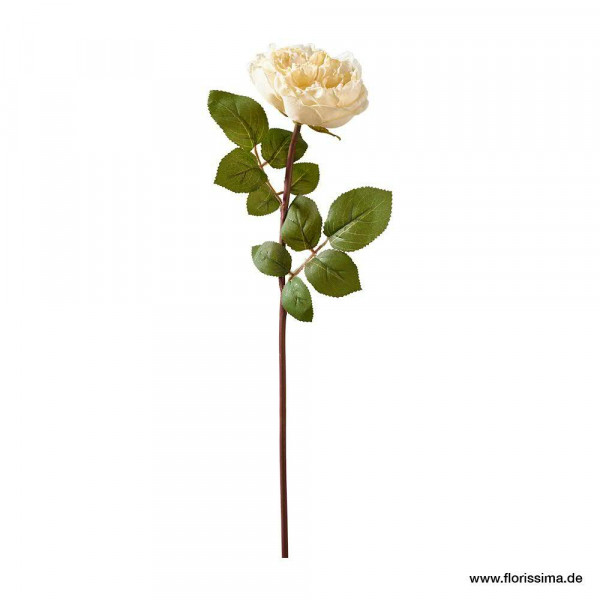 Rose 51cm m.Blättern, creme