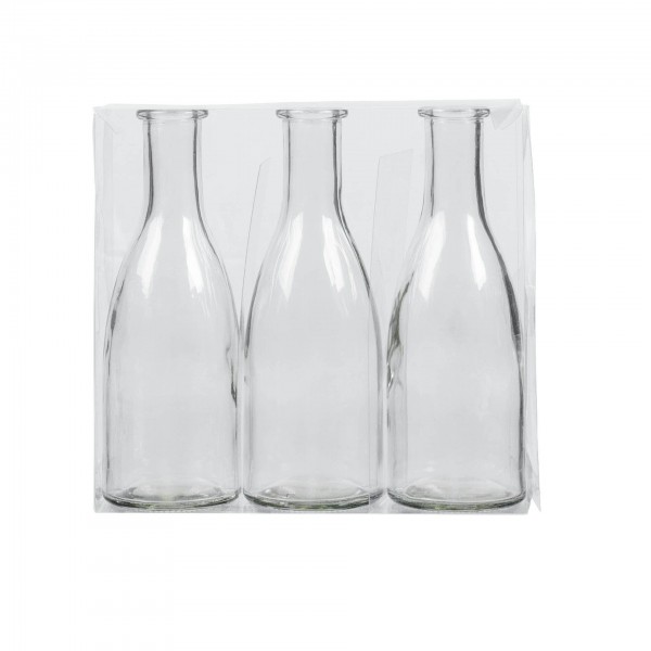 Glas Flasche H18,5cm sort., klar