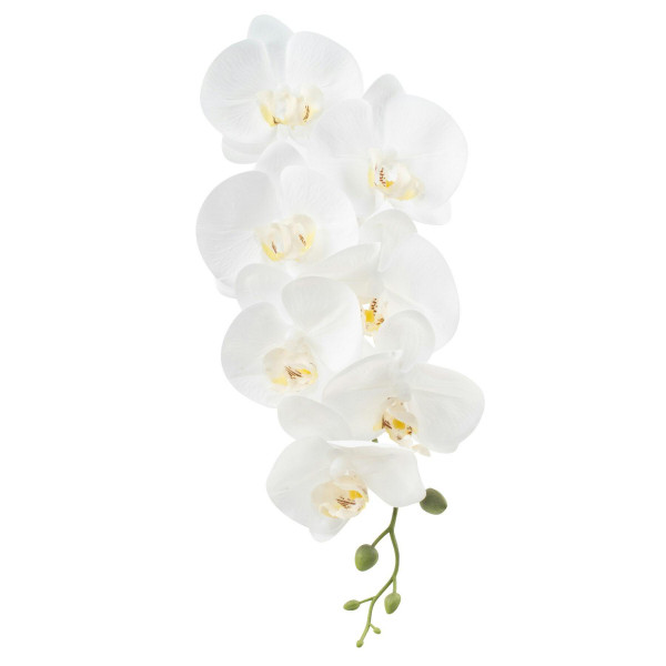 Phalaenopsis 84cm, weiß
