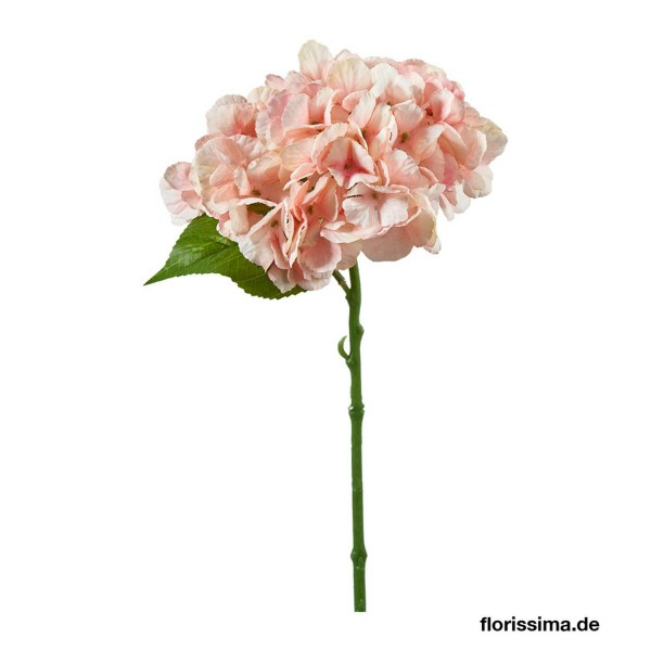 Hortensien Pick 33cm, rosa
