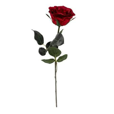 Rose 37cm, rot