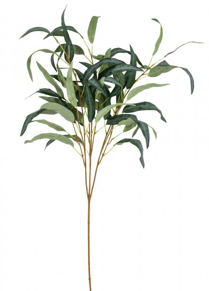 Eucalyptus Zweig 101cm, grün