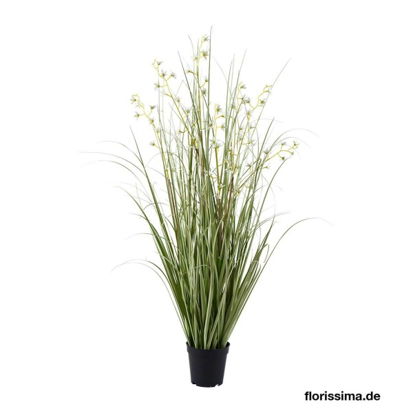 Gras 100cm im Topf mit Blüten x7, grün/weiß