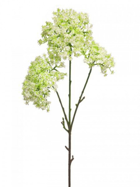 Blüten Zweig SP 76cm, weiß