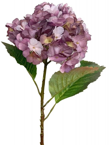 Hortensie 59cm, violett